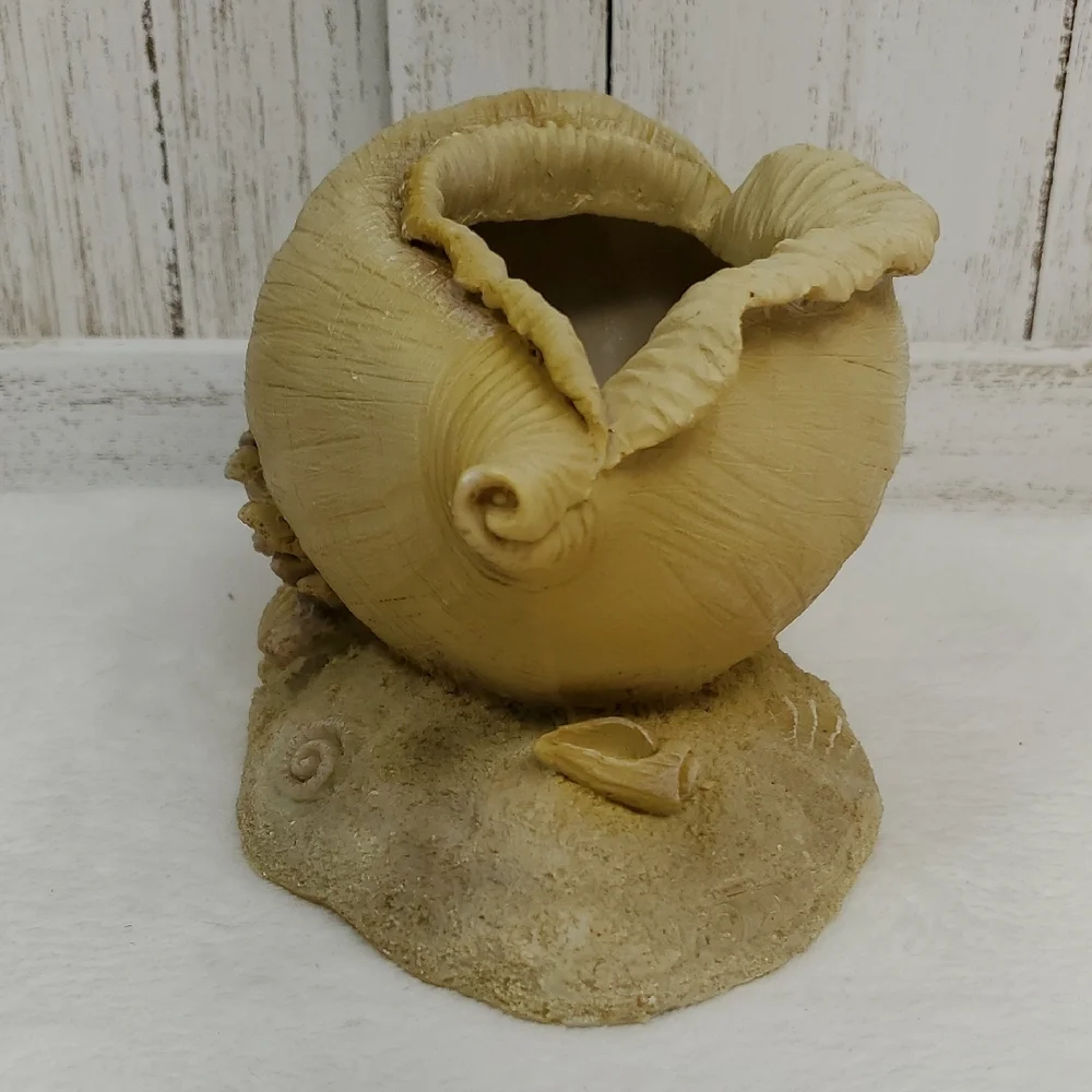 Conch Shell Seashell Planter Beach Ocean Coastal Decor